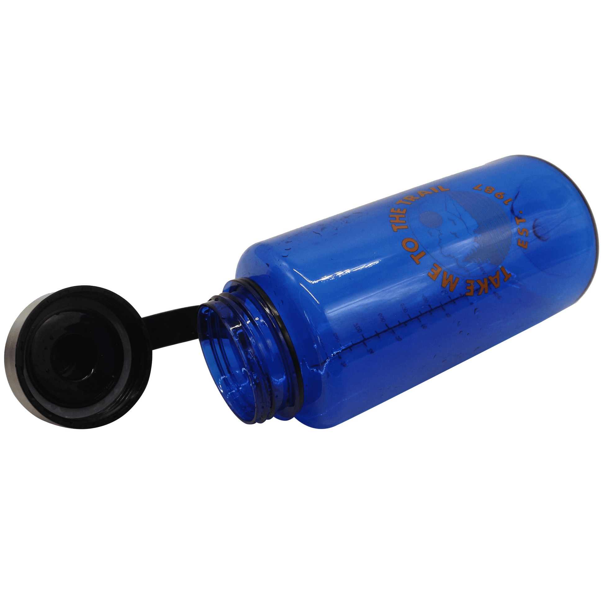 32 Oz Blue Plastic Water Bottle with Wide Mouth and Flip-Top Lid